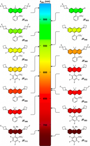 JF Spectrastructure.png