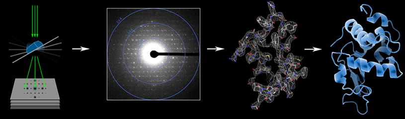 Illustration of the MicroED technique, developed by Tamir Gonen. The resulting data helps him decipher the structure of proteins.